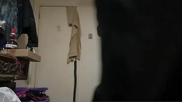 Snapshot of pipeload1275 chatting on 03.05.26 pipeload1275 online show from 03.05.26