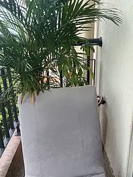 Pretty Isadora online show from 03.04.26