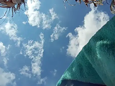 Snapshot of natally_ross21 chatting on 12.08.24 natally ross21 online show from 12.08.24