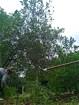 Snapshot of natally_ross21 chatting on 02.21.25 natally ross21 online show from 02.21.25