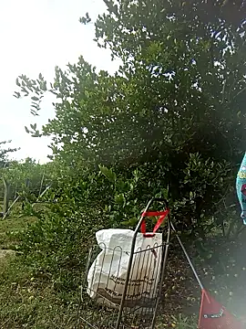 natally ross21 online show from 03.20.26