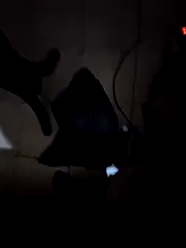 Snapshot of everyoneneeds chatting on 12.26.24 everyoneneeds online show from 12.26.24