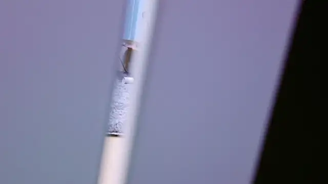 HaruruHappy online show from 01.18.25