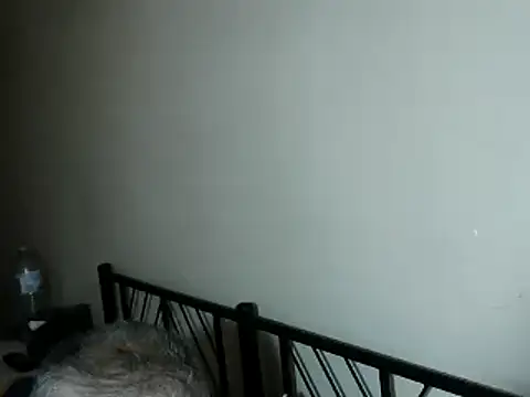 100Tauros online show from 11.02.25