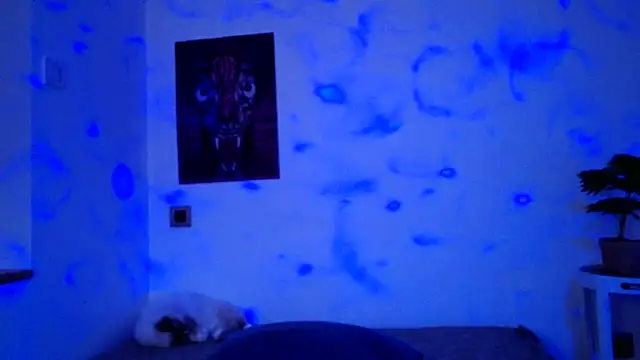 Snapshot of ValeryCrowley14 chatting on 01.15.26 ValeryCrowley14 online show from 01.15.26