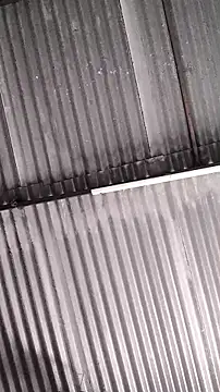 Snapshot of mendelicius chatting on 02.11.26 mendelicius online show from 02.11.26