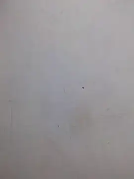 AmnionicDemeanor online show from 10.31.25