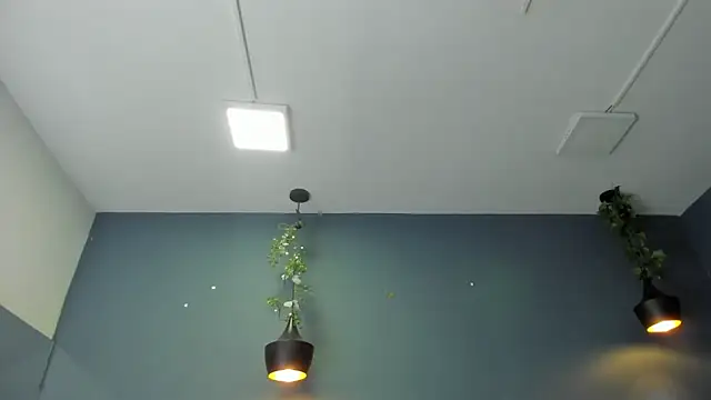 Hannah Miller   online show from 01.10.25