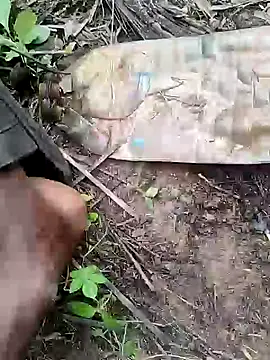 RainedNewyear online show from 12.05.24