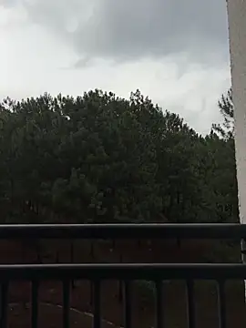 ArianaRouss online show from 02.07.25