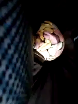 Snapshot of Policeman20742 chatting on 02.25.25 Policeman20742 online show from 02.25.25