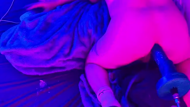 BJSchlect online show from 03.02.26