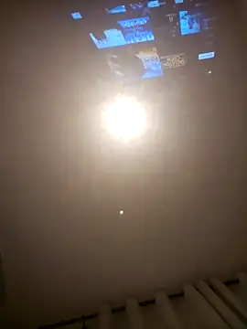 Binhosex2024 online show from 12.15.24