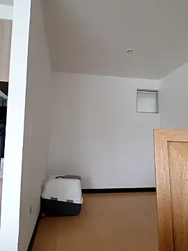  monicab online show from 03.20.25