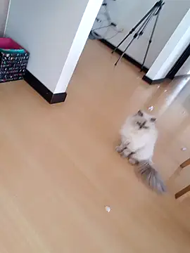  monicab online show from 09.27.25