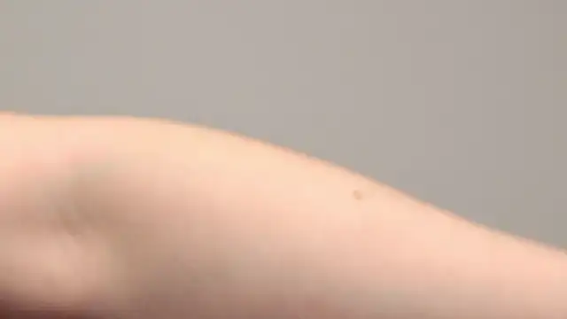 Snapshot of AliceMunro chatting on 01.25.25 AliceMunro online show from 01.25.25