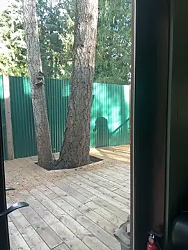 twist699 online show from 11.08.25