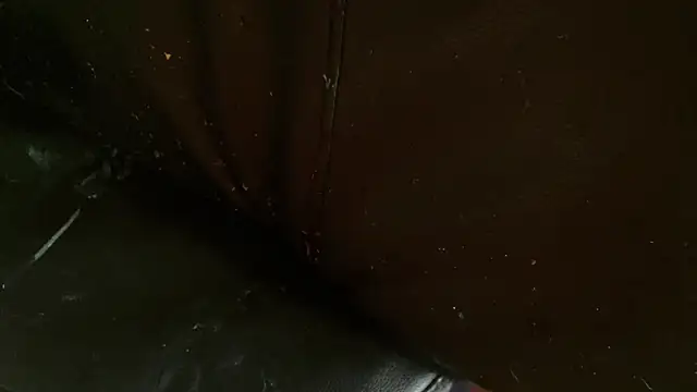 Gigadickman online show from 01.02.25