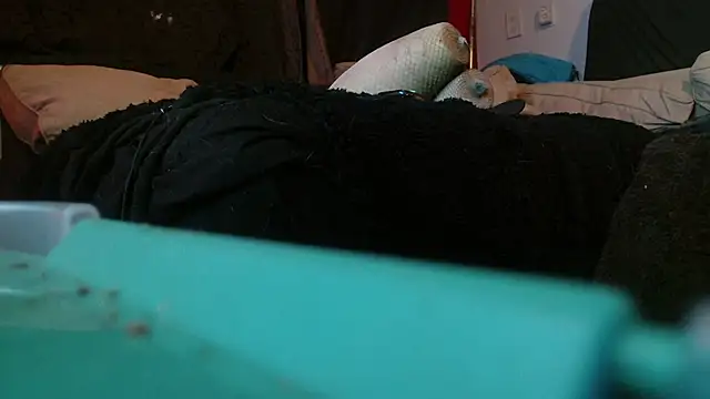 Gigadickman online show from 01.15.25