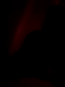 YoursAashi online show from 06.21.26