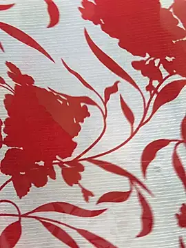 Snapshot of Sexy_Evelynn chatting on 02.22.26 Sexy Evelynn online show from 02.22.26