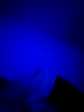 HELL FIRE online show from 10.24.25