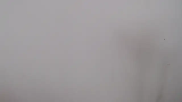 Snapshot of leoytessa_10 chatting on 12.05.24 leoytessa 10 online show from 12.05.24