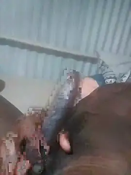 Snapshot of advocate2 chatting on 11.08.25 advocate2 online show from 11.08.25