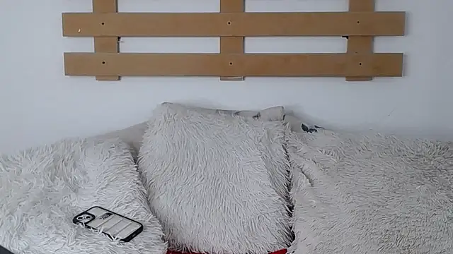 Steev Novoa online show from 01.26.25