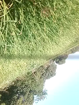 Sweet Dhara online show from 02.15.25