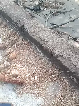 Sweet Dhara online show from 02.16.25