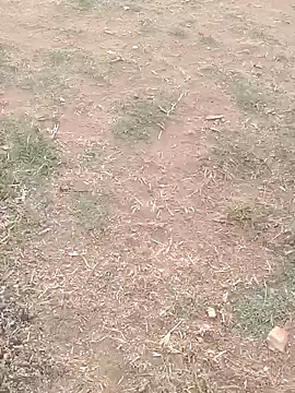 Sweet Dhara online show from 02.26.25