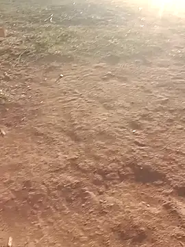 Sweet Dhara online show from 03.06.25