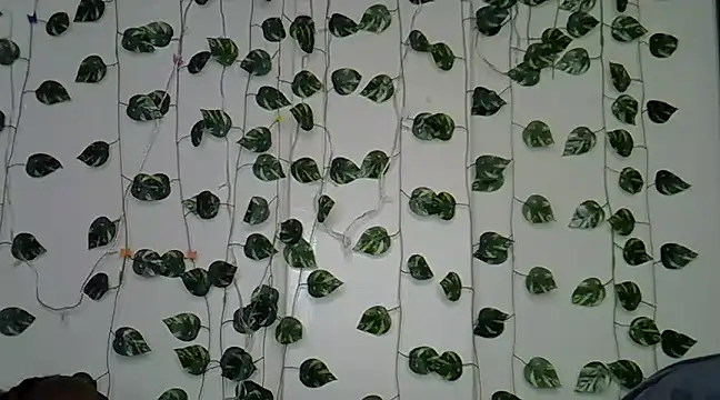 sexybree  online show from 01.23.25