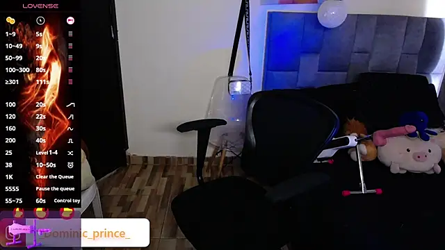 Snapshot of DominicPrince chatting on 11.24.25 DominicPrince online show from 11.24.25