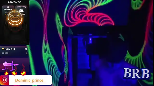 Snapshot of DominicPrince chatting on 01.13.26 DominicPrince online show from 01.13.26