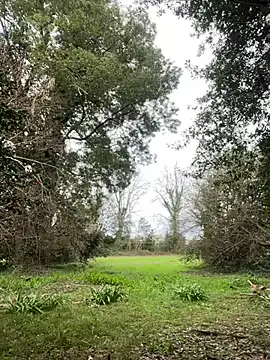 Alicia Hot1 online show from 02.10.25