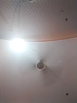 Nzfl97 online show from 03.30.26