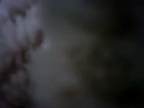 07YUKIO online show from 01.24.25