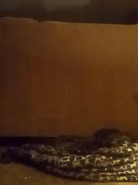 Snapshot of luke_thighwalker2469 chatting on 02.08.25 luke thighwalker2469 online show from 02.08.25