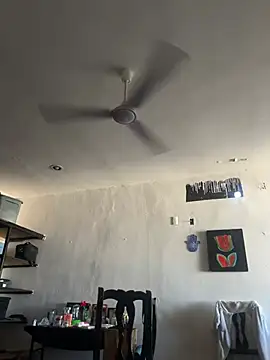 RenataMex online show from 02.26.25