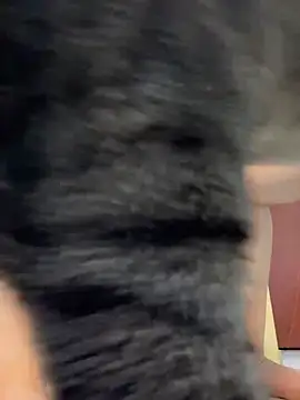 Snapshot of Barbielatinas chatting on 02.14.26 Barbielatinas online show from 02.14.26