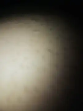 Gostosooooooooooso online show from 05.27.26