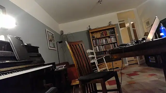 Snapshot of RolfS chatting on 03.29.26 RolfS online show from 03.29.26