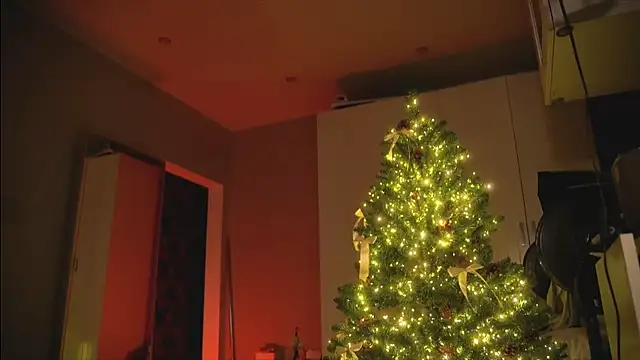 Arianna Richi online show from 12.30.24