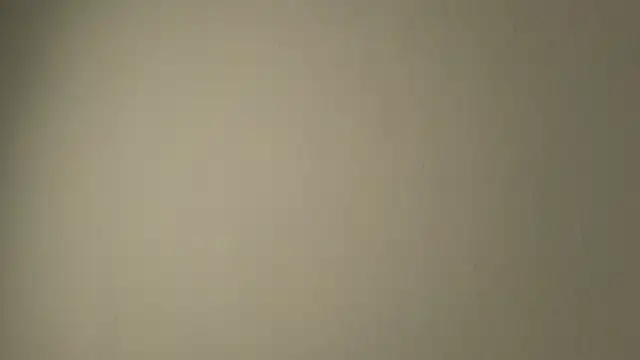 Sophia Cambpell online show from 06.05.26