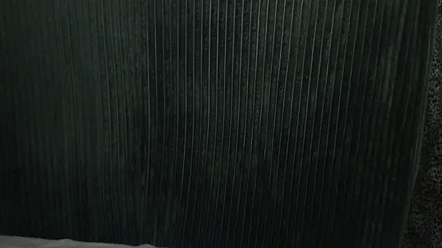 1BECHA1 online show from 12.03.25