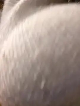 Giuliana baby online show from 03.10.25