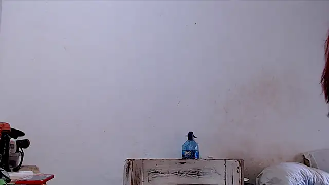 SusiDream online show from 03.14.26
