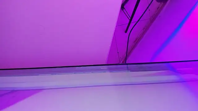 sarah  bigboobs online show from 03.21.26